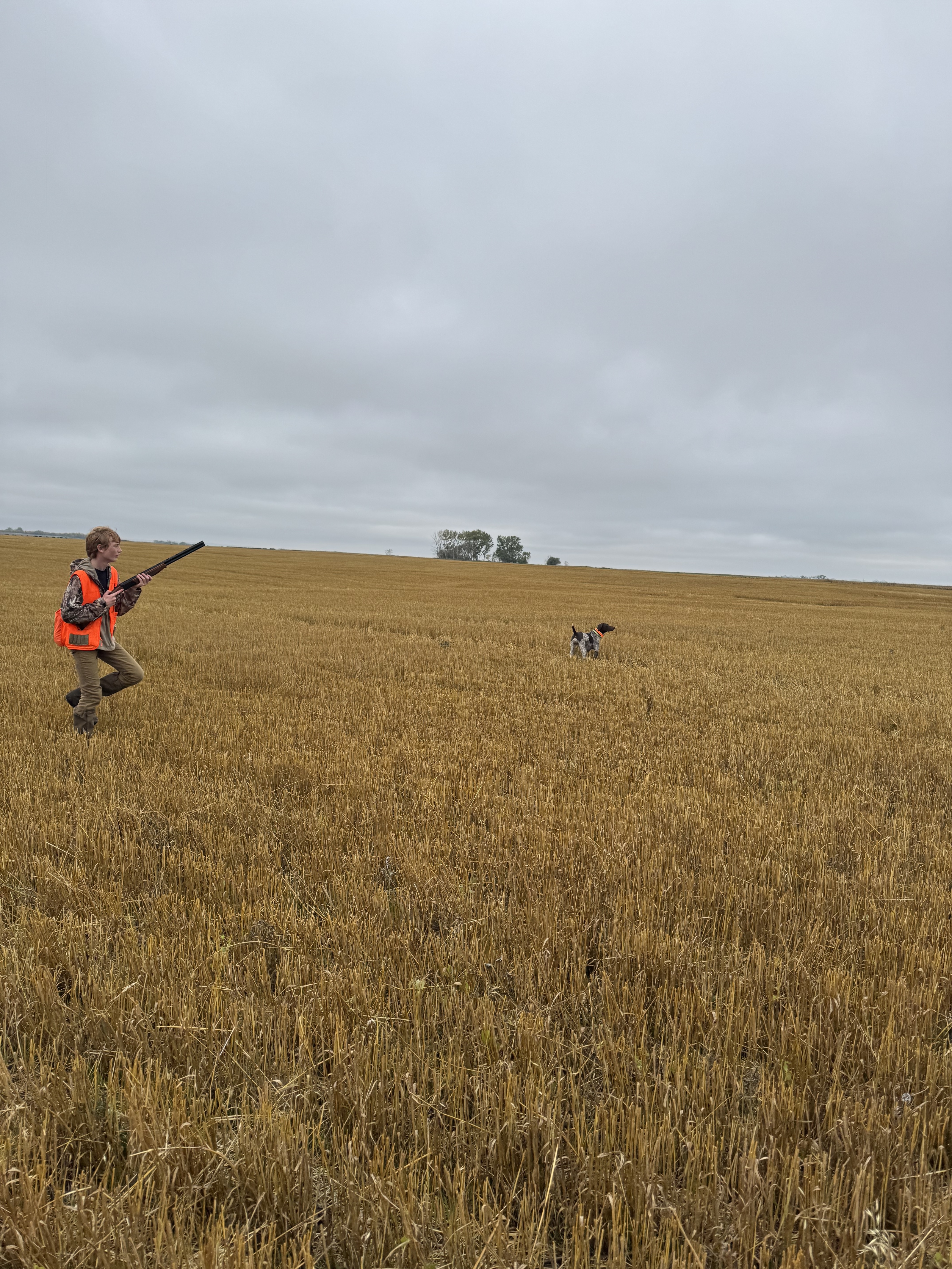 A young hunter walks a western prairie field with shotgun shouldered, a GSP pointing ahead.