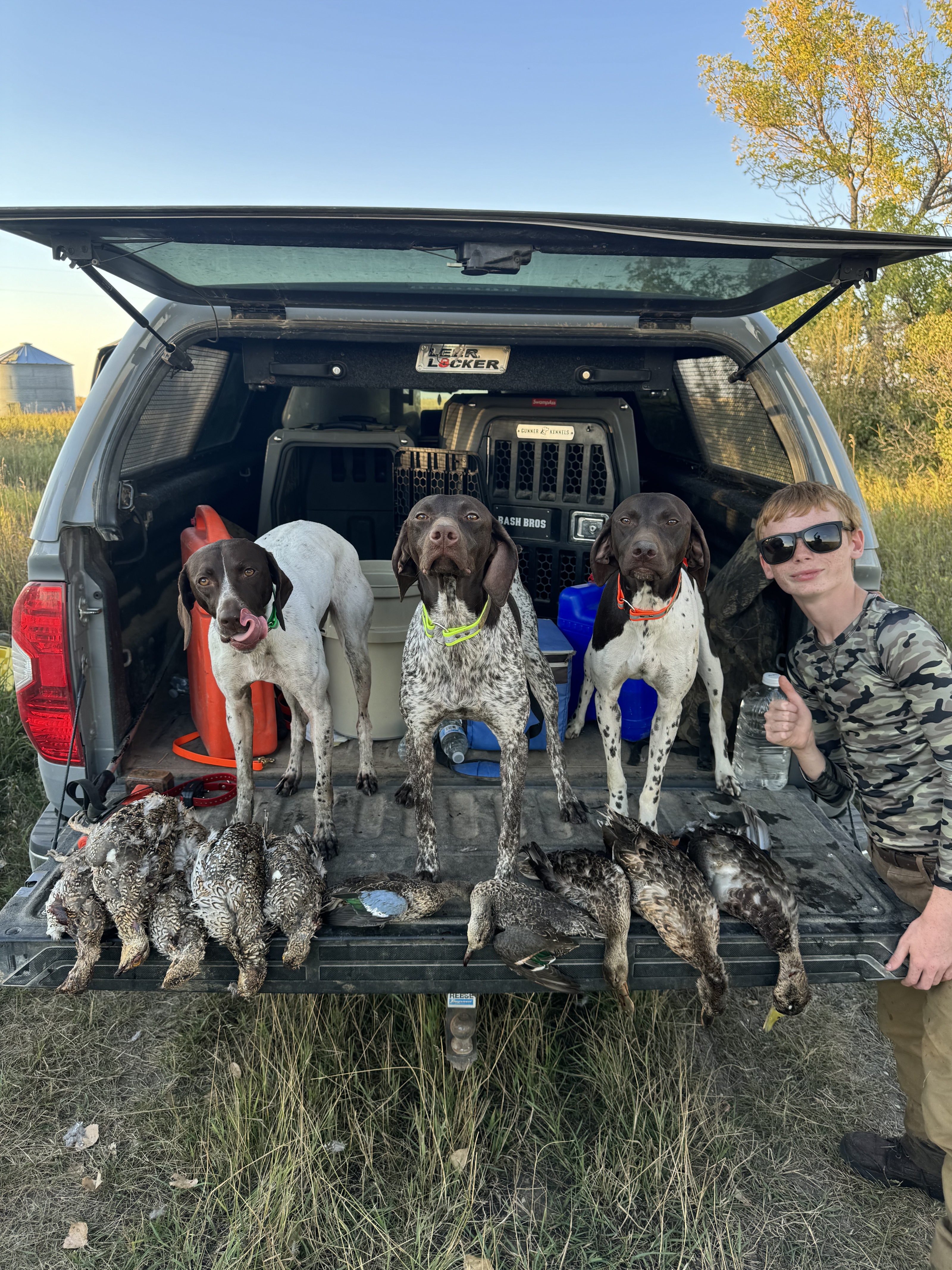 A teenager kneels beside three German Shorthaired Pointers on a truck tailgate loaded with harvested birds.