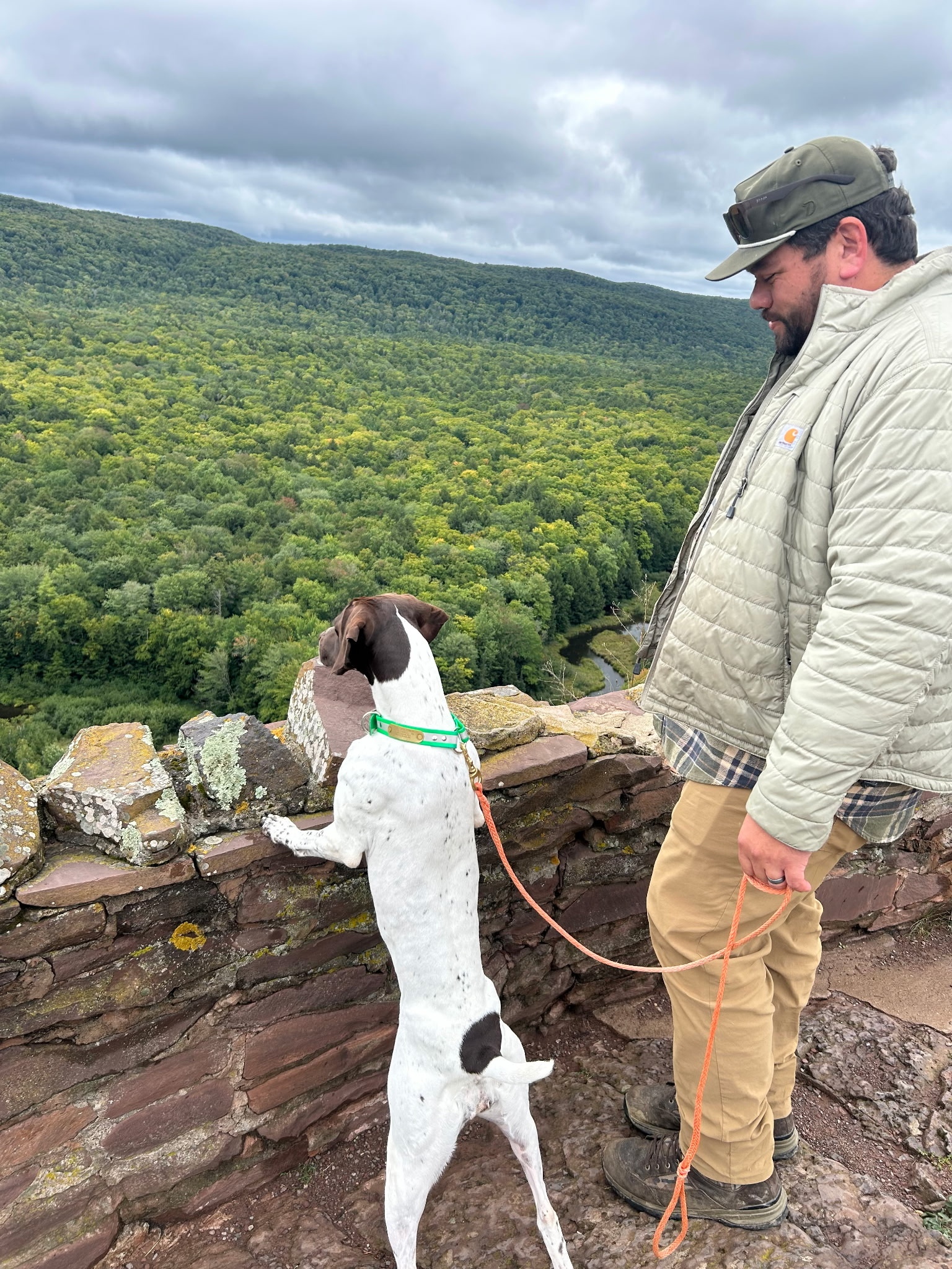 A man and his German Shorthaired Pointer look out over a forested valley from a stone overlook.